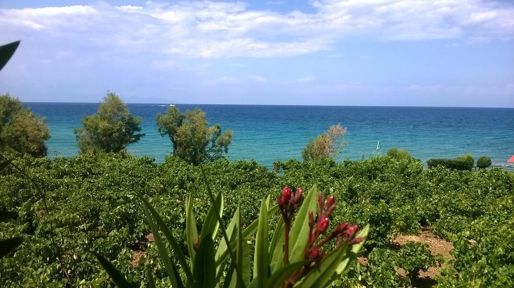 Villa Antonis Deluxe Apartments Amoudi Luaran gambar